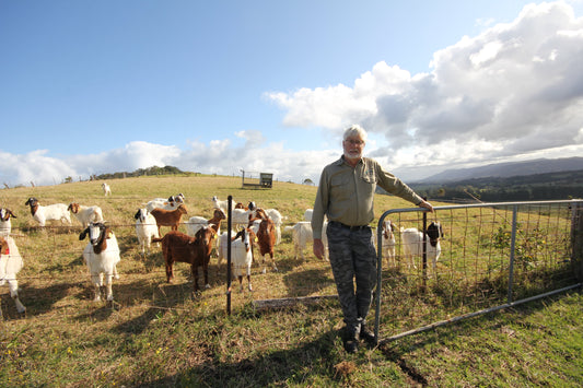 A Taste of Paradise - Summer24